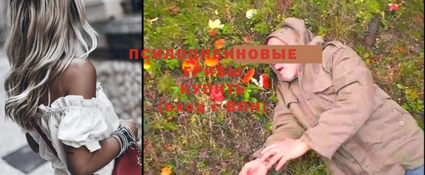 мяу мяу мука Балабаново