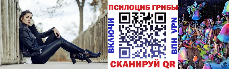 Псилоцибиновые грибы прущие грибы  это какой сайт  Гулькевичи  как найти наркотики 
